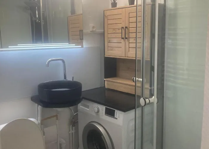 公寓 4 Couchages Le Mole *